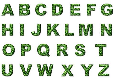 2021�п����Ə�������Ӣ�Zƪ