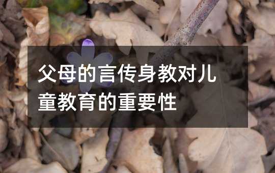 父母的言傳身教對兒童教育的重要性