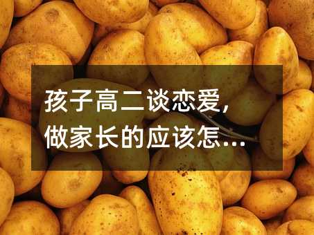 Ӹ߶Մِ,L(zhng)đ(yng)ԓô