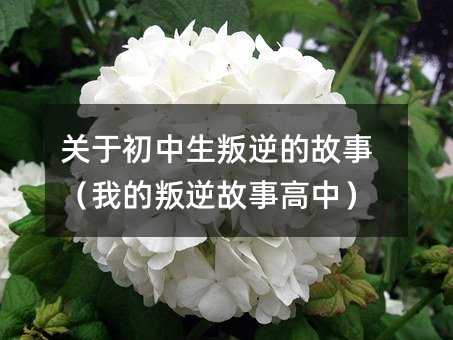 關(guān)于初中生叛逆的故事(我的叛逆故事高中)