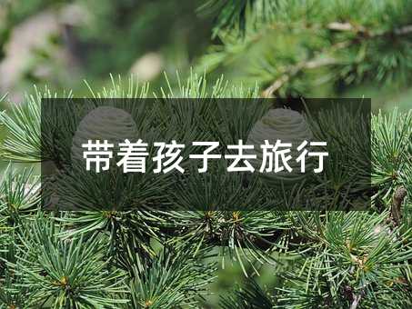 ��������ȥ����