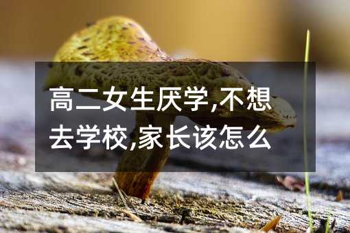 高二女生厭學,不想去學校,家長該怎么做
