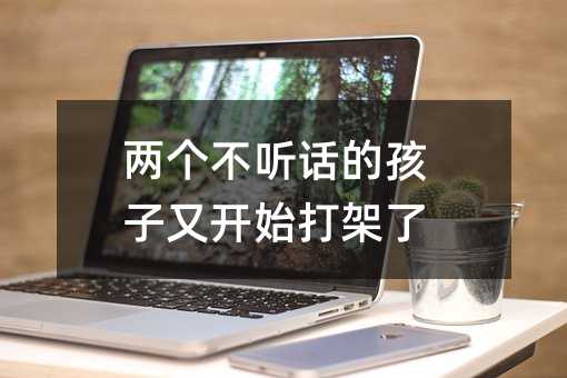 兩個不聽話的孩子又開始打架了