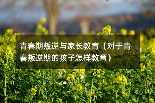 �ഺ�������c���L�����������ഺ�����ڵĺ������ӽ�����