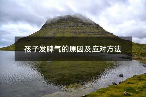 孩子發脾氣的原因及應對方法