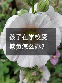 孩子在學校受欺負怎么辦?