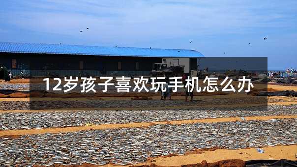 12歲孩子喜歡玩手機怎么辦