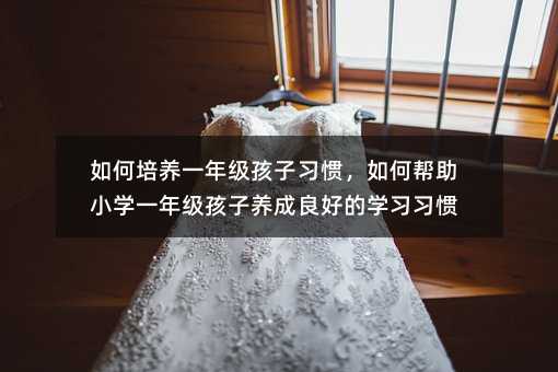 如何培養一年級孩子習慣,如何幫助小學一年級孩子養成良好的學習習慣
