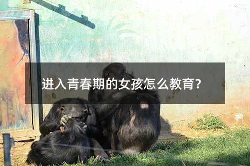 進入青春期的女孩怎么教育?