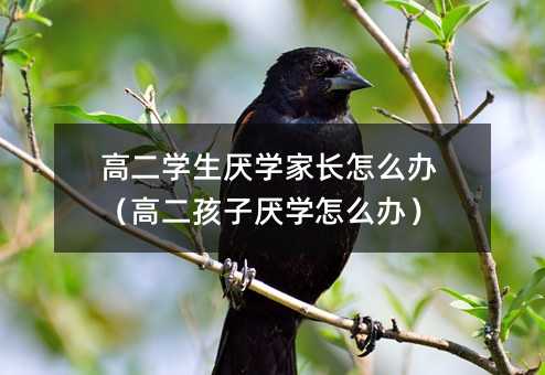 高二學生厭學家長怎么辦(高二孩子厭學怎么辦)