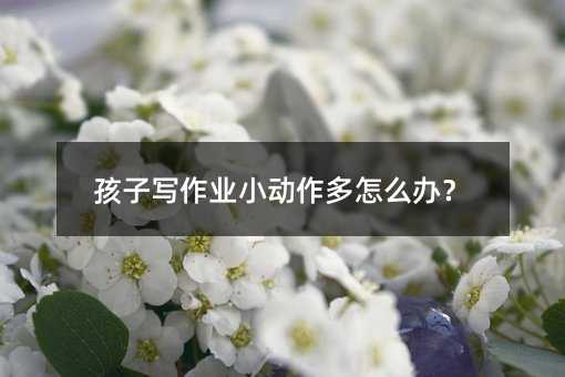 孩子寫作業(yè)小動(dòng)作多怎么辦?