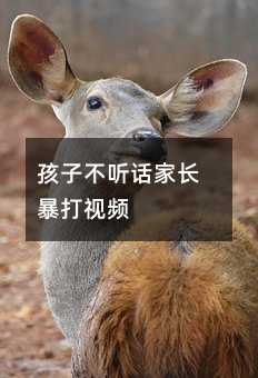 ���Ӳ� Ԓ���L(zh��ng)����ҕ�l