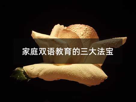 ��ͥ�p�Z���������󷨌�