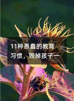 11�N�޴��Ľ������T����������һ��