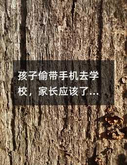 孩子偷帶手機(jī)去學(xué)校,家長(zhǎng)應(yīng)該了解孩子的心理需求,給予更多關(guān)注和支持