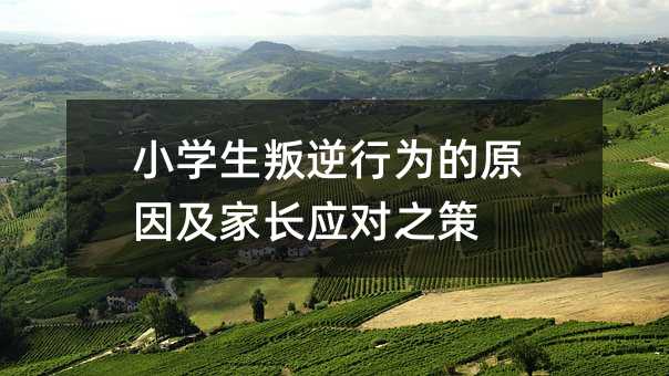 СW(xu)Оԭ򼰼L(yng)֮