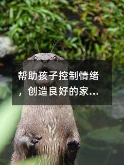 �������ӿ�����w���������õļ�ͥ�h��