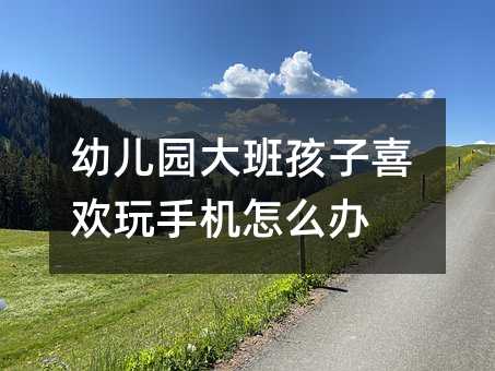 幼兒園大班孩子喜歡玩手機怎么辦