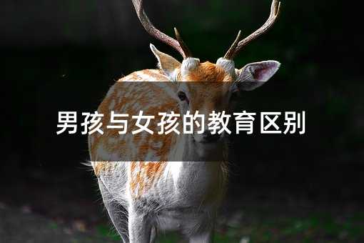 男孩與女孩的教育區別