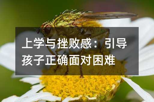 上學與挫敗感:引導孩子正確面對困難