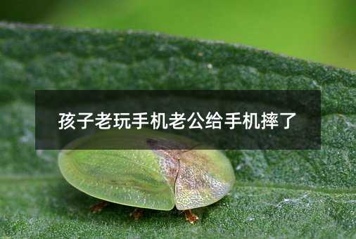 ���������֙C�Ϲ��o�֙Cˤ��