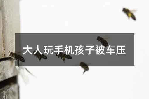 大人玩手機孩子被車壓