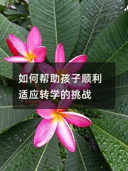 如何幫助孩子順利適應轉學的挑戰