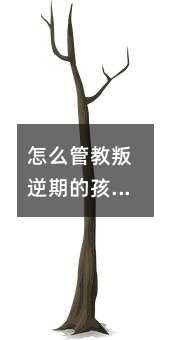 怎么管教叛逆期的孩子?