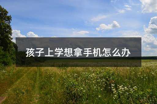 孩子上學(xué)想拿手機(jī)怎么辦