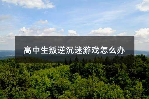 高中生叛逆沉迷游戲怎么辦
