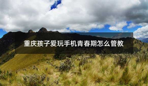 重慶孩子愛玩手機青春期怎么管教