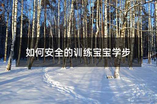 ��ΰ�ȫ��Ӗ(x��n)�������W(xu��)��