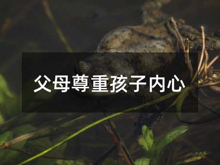 父母尊重孩子內心