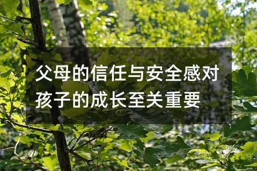 ĸcȫЌӵĳLP(gun)Ҫ