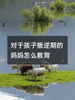 對(duì)于孩子叛逆期的媽媽怎么教育