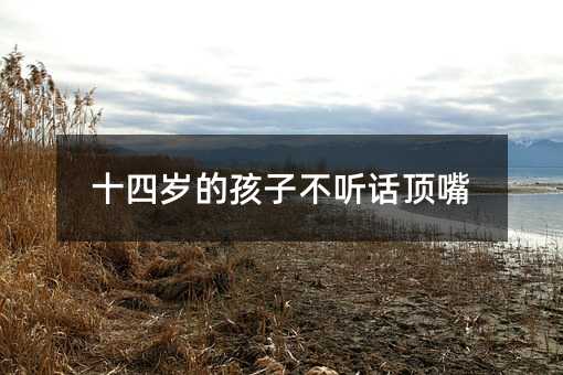 十四歲的孩子不聽話頂嘴