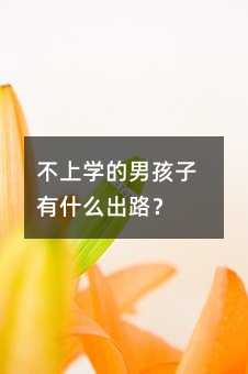 不上學(xué)的男孩子有什么出路?