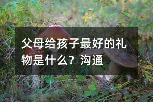 ��ĸ�o������õĶY����ʲô����ͨ