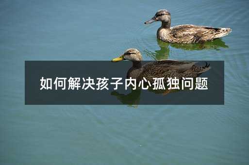如何解決孩子內(nèi)心孤獨問題