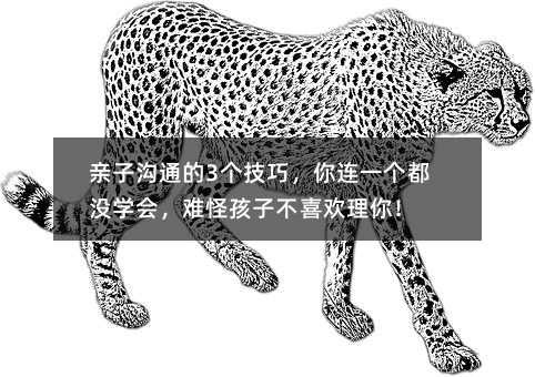 HӜͨ3ɣBһ]WyֺӲϲg㣡