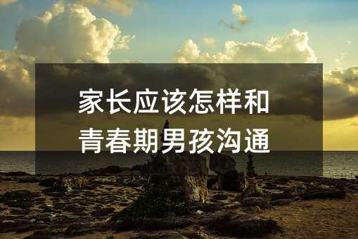 家長(zhǎng)應(yīng)該怎樣和青春期男孩溝通
