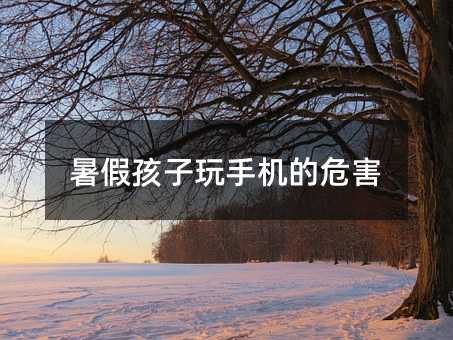 暑假孩子玩手機的危害