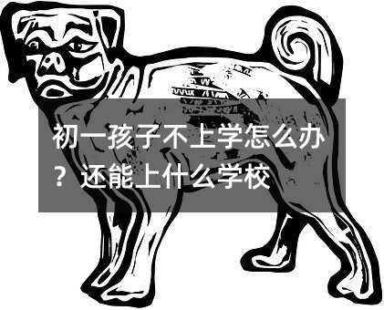 初一孩子不上學怎么辦?還能上什么學校