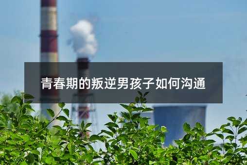 青春期的叛逆男孩子如何溝通
