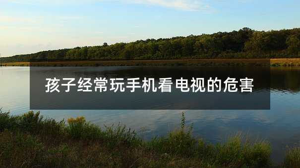 ���ӽ������֙C���ҕ��Σ��