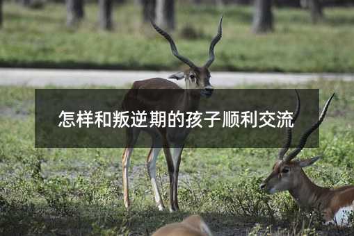 怎樣和叛逆期的孩子順利交流