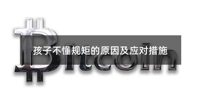 ���Ӳ���Ҏ(gu��)�ص�ԭ�򼰑�(y��ng)����ʩ