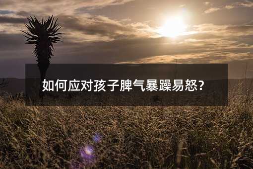 如何應對孩子脾氣暴躁易怒?