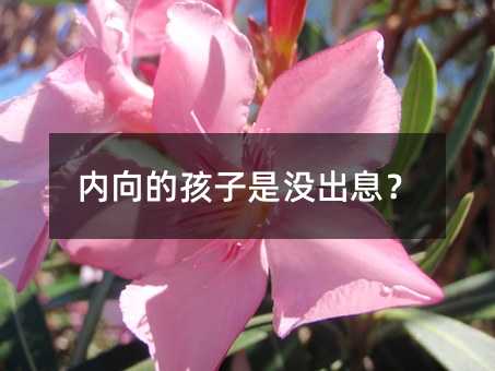 ��(n��i)��ĺ����Ǜ]��Ϣ��