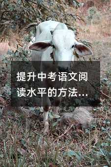 �����п��Z����xˮƽ�ķ����c����